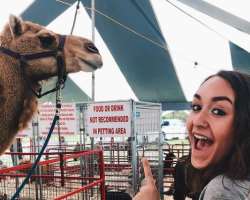 She went to The Denver fair in September 2019 just to see the camel there.